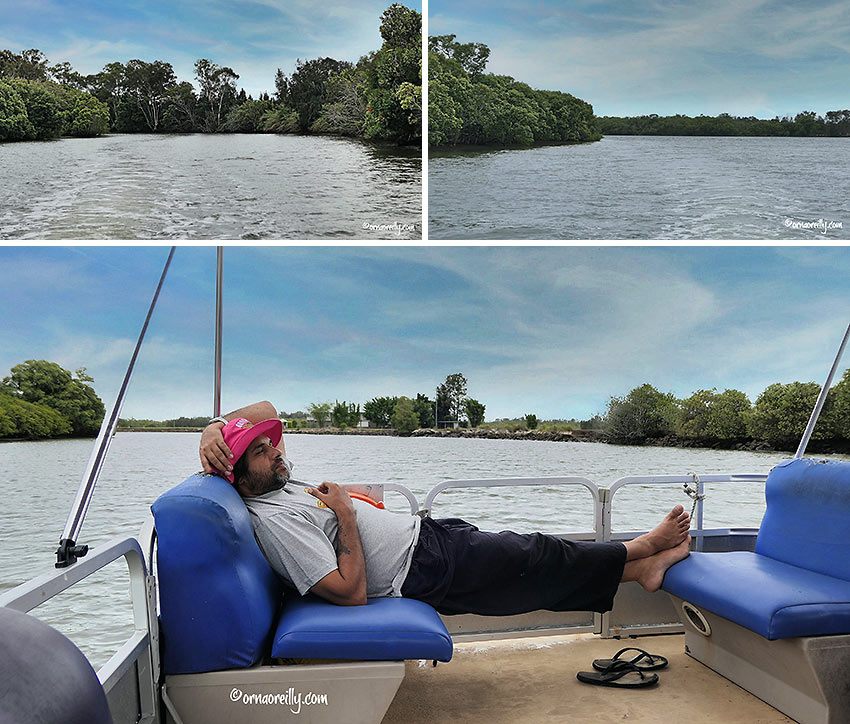 more waterways cruising: the Petrie Creek