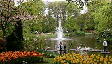 Keukenhof gardens