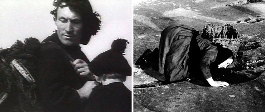 movie stills from The Man of Aran