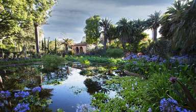 the garden at Lotusland, Santa Barbara, CA