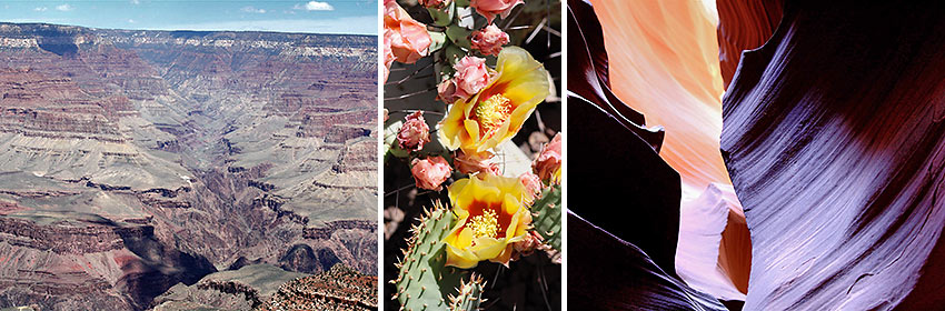 scenes from Northern Arizona