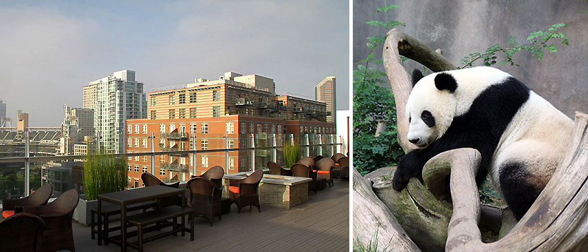 San Diego: PETCO Park and panda at the San Diego Zoo
