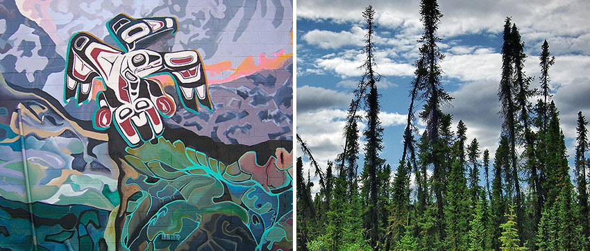 At Whitehorse and Stumblebum Spruces