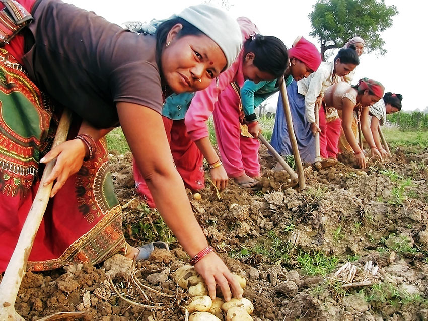 agricultural co-op at a Nepali village