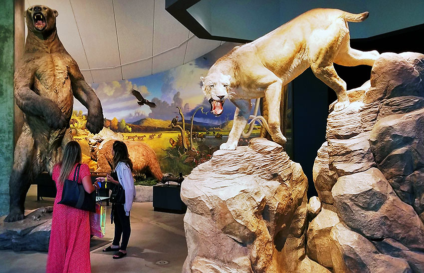 replicas of a giant Ice Age bear and a saber tooth cat, La Brea Tar Pits