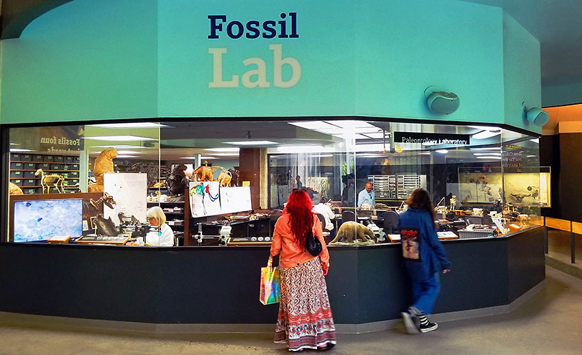 working fossil lab, La Brea Tar Pits