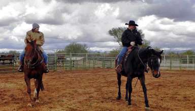 writer inside the corral at Arizona Cowboy College, Scottsdale