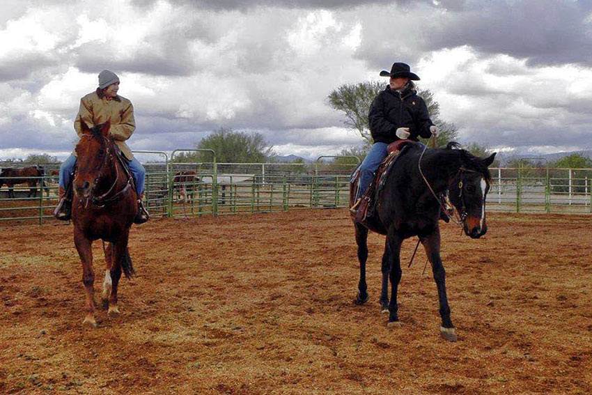 writer inside the corral at Arizona Cowboy College, Scottsdale