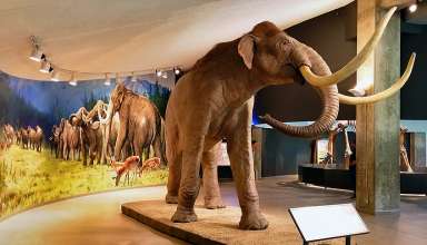 La Brea Tar Pits, Wilshire Blvd., Los Angeles