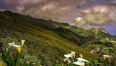 Diana’s Peak National Park, St. Helena