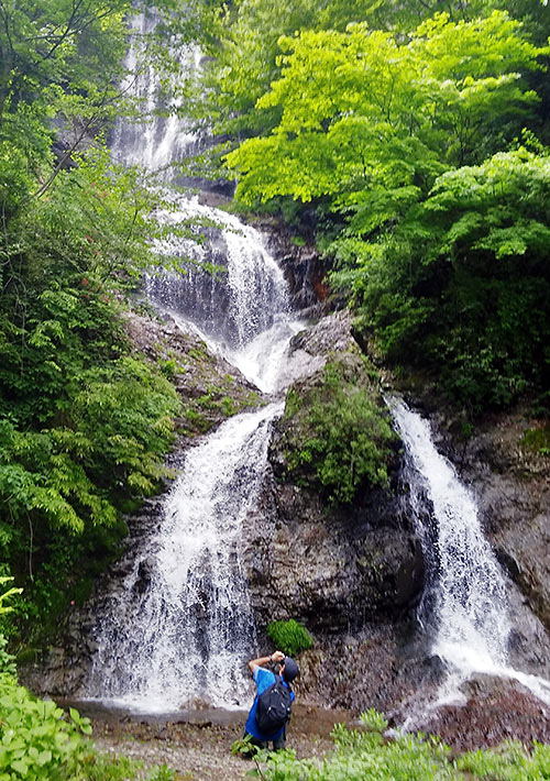 waterfall in a forest, Japan