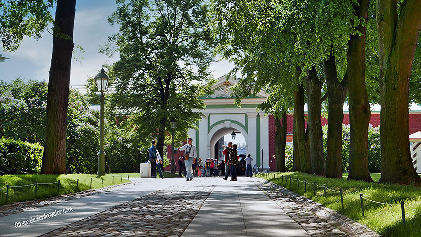 tree-lined walkway