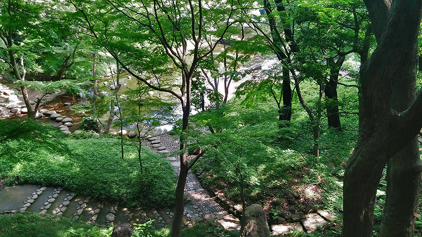 Tokyo park