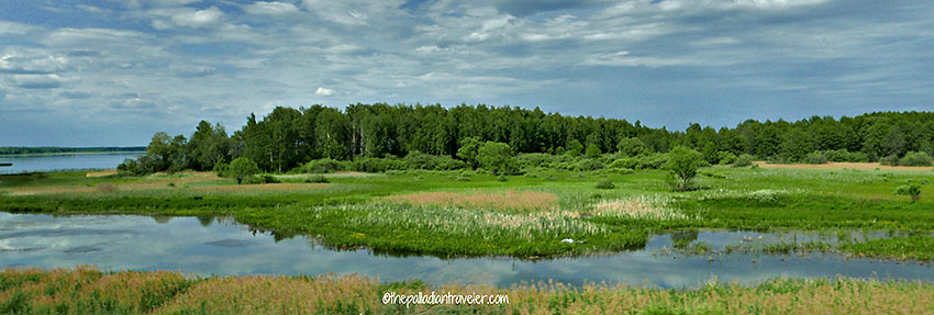 wetlands scene, Russia