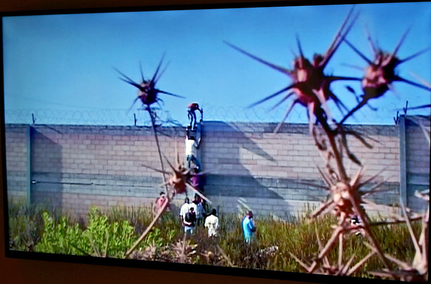 snap of video of Palestinians trying to get to work at The Warmth of Other Suns Exhibit