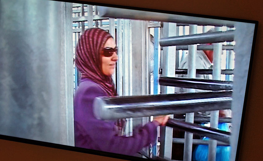 Snap of video in The Warmth of Other Suns exhibit