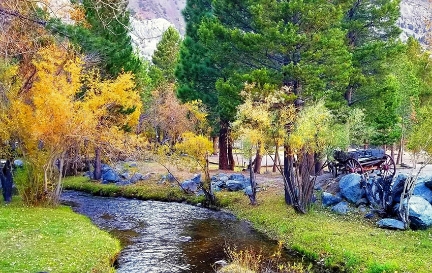 creek in June Lake