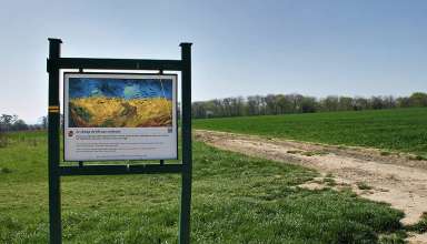 location where van Gogh painted Crows over Wheatfield