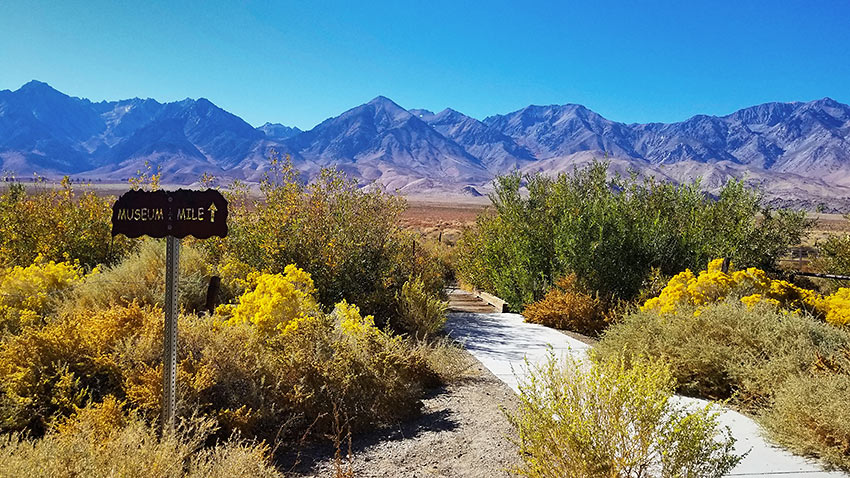 nature trail