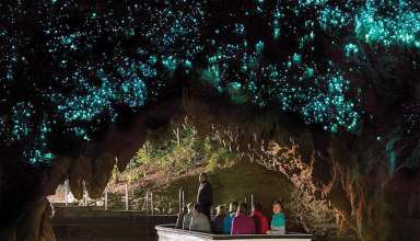 Glowworm Grotto
