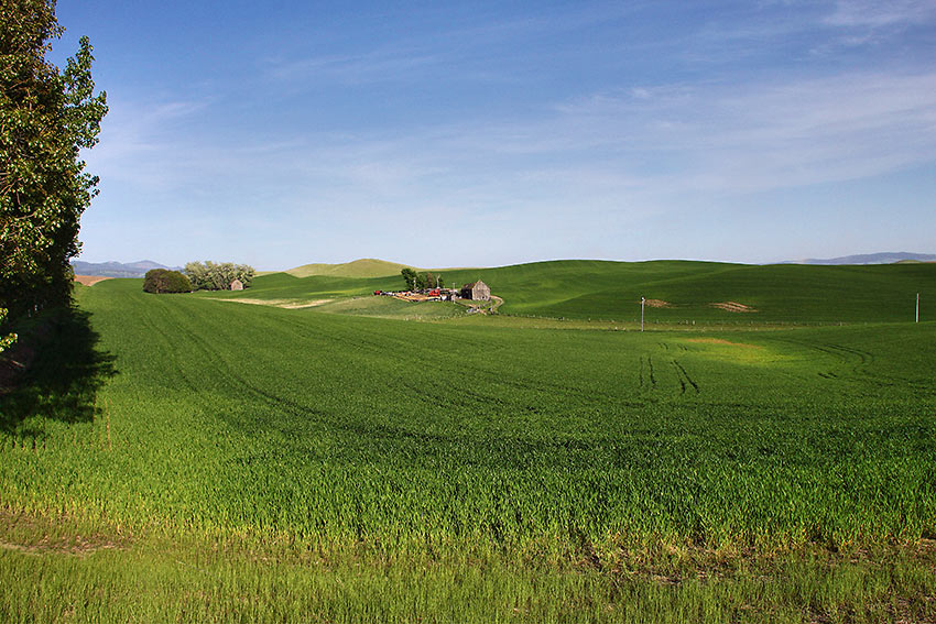 rolling hills, Palouse Scenic Byway