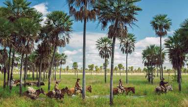 Zama