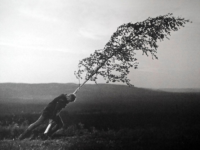 Max von Sydow in Bergman’s 'The Virgin Spring'