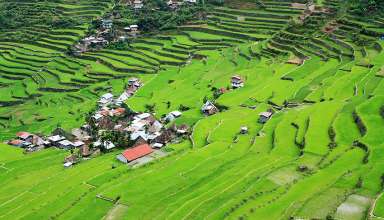 rice terraces in Batad village, Banaue, Ifugao