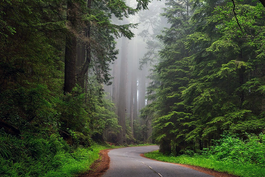 photo by David Mark from Pixabay Humboldt County