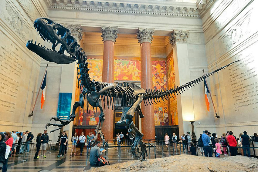 photo courtesy of the American Museum of Natural History American Museum of Natural History