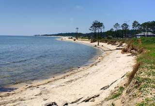 beach at Dauphin Island