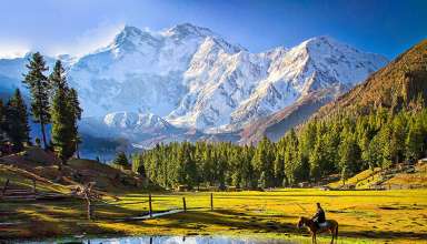 Fairy Meadows and Nanga Parbat, Gilgit-Baltistan, Pakistan