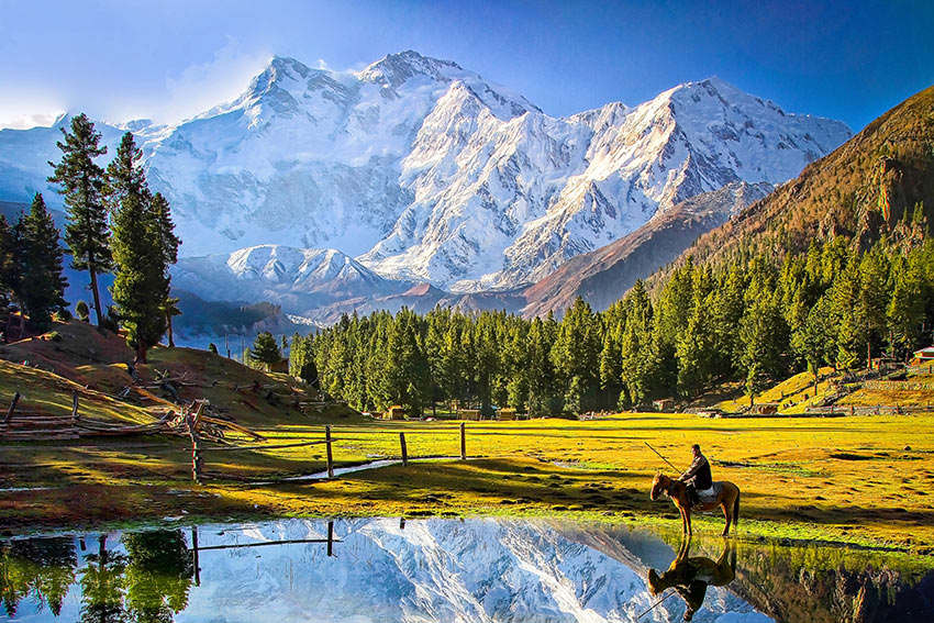 Fairy Meadows and Nanga Parbat, Gilgit-Baltistan, Pakistan