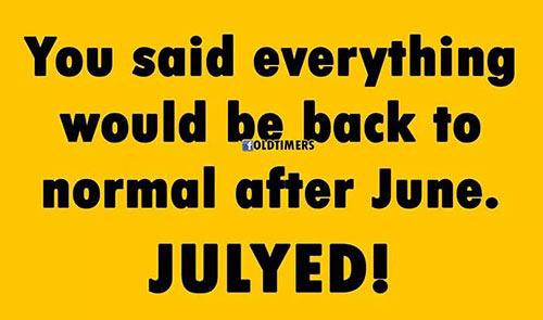 Don's Puns: Julyed