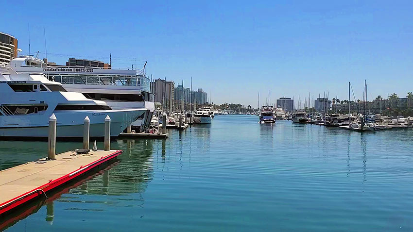 the Marina