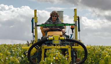 Anselme Selosse