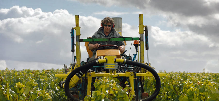 Anselme Selosse
