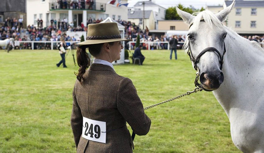 Connemara Pony Show
