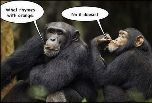 Parting Shots: Rhymes with Orange