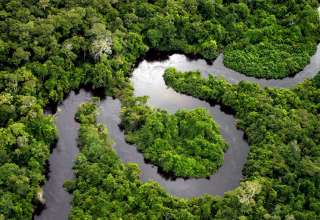aerial view of a segment of the Amazon River