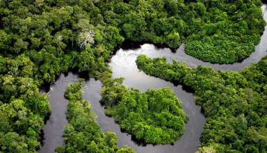 aerial view of a segment of the Amazon River