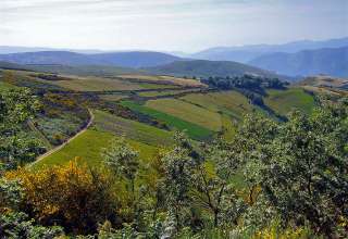 Camino de Santiago Pilgrim Trail, Spain