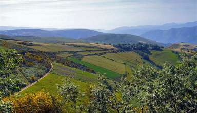 Camino de Santiago Pilgrim Trail, Spain