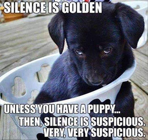 Parting Shots: Silence is Golden
