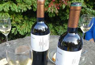 Monterosola organic wines