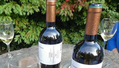 Monterosola organic wines