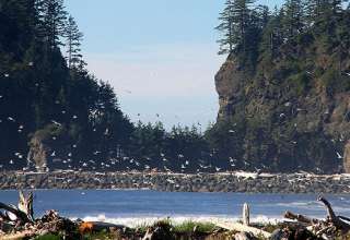 La Push. Olympic Coast, Washington