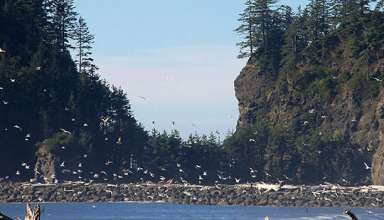 La Push. Olympic Coast, Washington