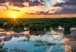 Everglades sunset