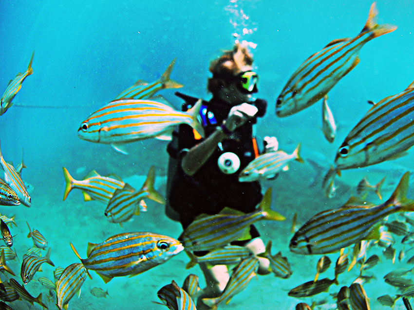 snorkeling with fishes at the Sea Aquarium